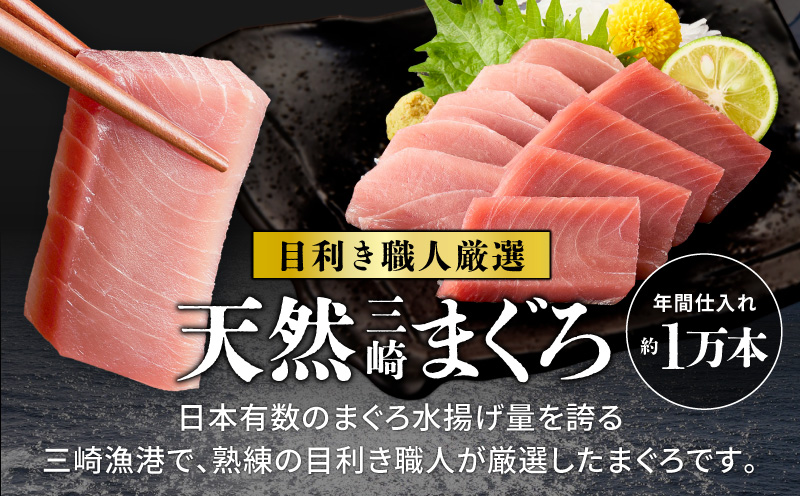 【7営業日以内に発送】＜訳あり＞天然三崎まぐろ 1kg たっぷり10人分！不揃い赤身　M020-013