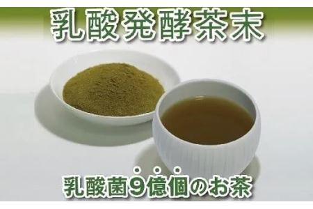 乳酸菌で発酵させた深蒸し掛川茶 乳酸発酵茶末 40g×10袋・計400ｇ（ 深蒸し掛川茶パウダー 機能性 健康の緑茶 ）山英 6158