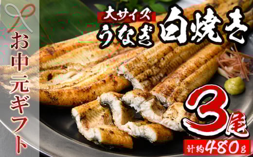 【令和7年お中元対応】厳選！ 国産 鹿児島県産 うなぎ 白焼き 大 3尾 約480g 秘伝のタレ 付き 鰻養殖生産量日本一 鹿児島県産新仔うなぎ使用 こだわりの地焼き！ 国産 鹿児島県産 冷凍 うなぎ 鰻 ウナギ 白焼き ギフト にも！【南竹鰻加工】【TB-037H】