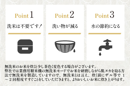 【先行予約】【令和6年産】真空パックキューブ米4種 300g×16個 低農薬 特別栽培米《こだわり極上無洗米》／ ミルキークイーン・いちほまれ・コシヒカリ・あきさかり ※2024年10月上旬以降順次発