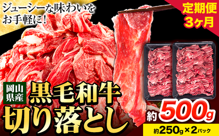 牛肉【3ヶ月定期便】 肉 黒毛和牛 切り落とし 訳あり 大容量 小分け 500g 1パック 250g 定期便《お申込み月翌月から出荷開始》岡山県産 岡山県 笠岡市 お肉 にく カレー 牛丼 切り落し 切落し