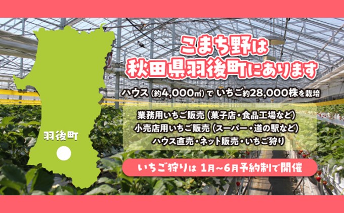 冷凍いちご　3kg（500g×6）国産 イチゴ ジャム スムージー お菓子づくり 果物 フルーツ 冷凍果物 冷凍フルーツ そのまま トッピング フローズンイチゴ ストロベリー