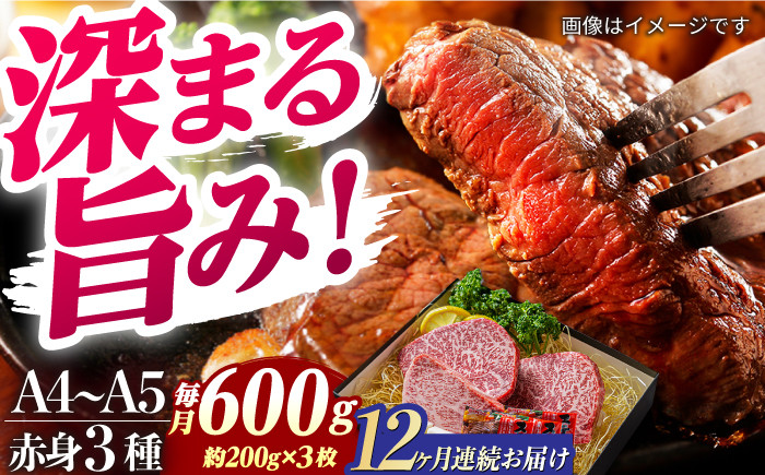 
            【12回定期便】ステーキ 【A4-A5】長崎和牛 赤身ステーキ3枚 （約200g×3枚） 長与町/meat shop FUKU [ECS056]ステーキ すてーき 国産 冷凍 牛肉 赤身 セット すてーき ステーキ ステーキ肉 a4 a5 3枚 定期便 定期
          