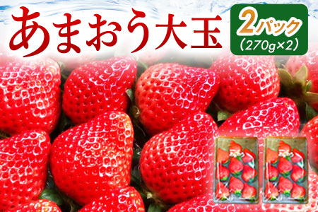 あまおう（大玉）、2パック（270g/パック）CT003