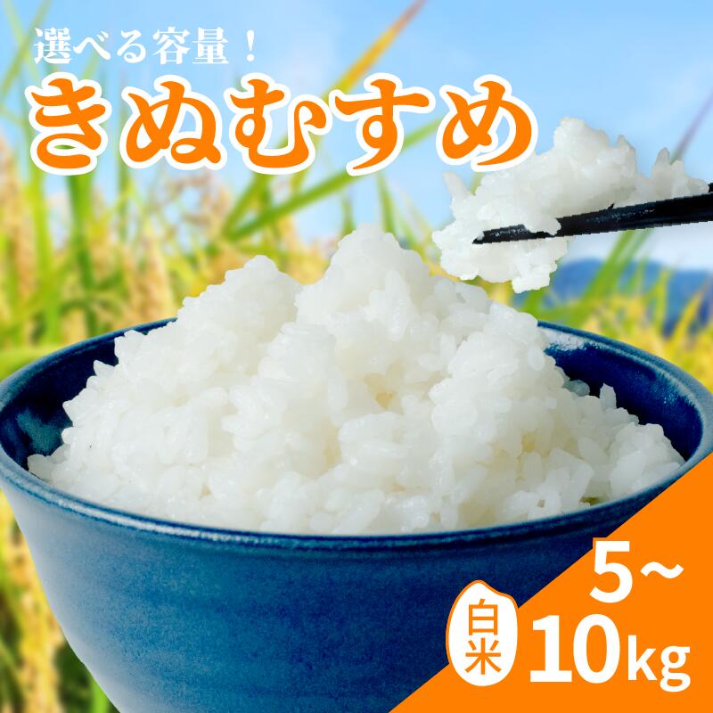 【ふるさと納税】 【令和8年産】 きぬむすめ 米 白米 10kg ～ 5kg | 国産 滋賀県 日野町 農家直送 お米 おこめ こめ 産地直送 10000円以下 ふるさと納税
