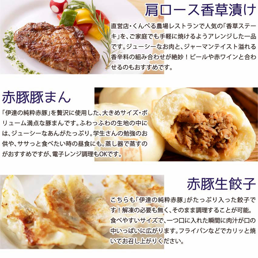 冷凍惣菜詰合せ10種セット＜味付け肉4種・豚まん・生餃子・煮込みハンバーグ2種・直火焼きハンバーグ2種＞ 宮城県産 豚 豚肉 肉 お肉 簡単調理 時短 ストック おかず 惣菜【有限会社伊豆沼農産】 t