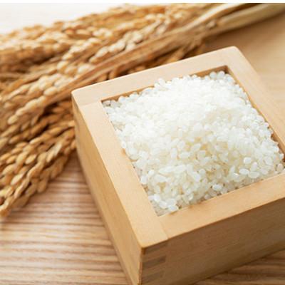 ふるさと納税 伊万里市 佐賀県産ゆめしずく(特A) 白米4.5kgと玄米5kg |  | 01