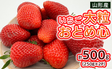 いちご 大粒おとめ心 500g(250g×2パック)【令和8年産先行予約】FS25-095
