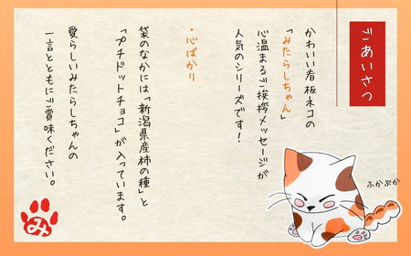 【心ばかり】ご挨拶にぴったり　柿の種＆ドットチョコ15パック 創信産業【0025-0006-01】