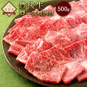 【ふるさと納税】数量限定 大分県竹田産 おおいた和牛　ロース 焼肉用 500g 和牛日本一！ 牛肉 和牛 九州産 国産 冷凍 送料無料