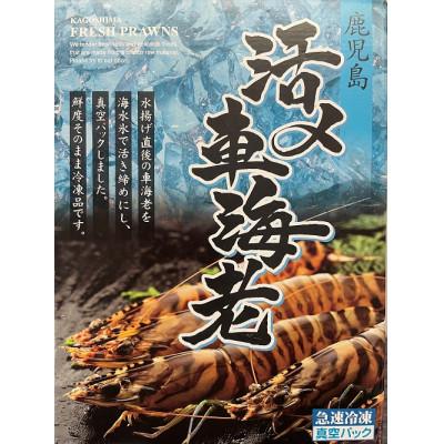 ふるさと納税 中種子町 活き〆冷凍車海老　Lサイズ300g×1パック(14〜16尾入り)