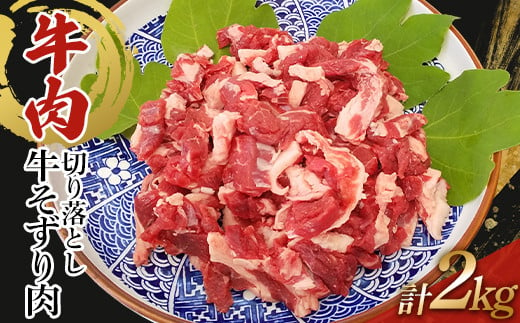 訳あり 牛肉 切り落とし 2kg（500g×4）牛そずり肉 TY0-0748