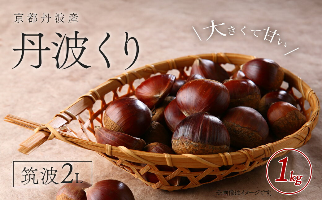 【ふるさと納税】 京都丹波産　丹波くり　筑波2L　1kg 【ふるさと納税 栗 くり 丹波栗 丹波くり 筑波 甘味 おやつ 栗ご飯 お菓子作り 2L L Lサイズ 無農薬 京都府 福知山市】 FCFB002