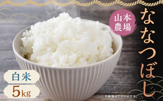 【令和7年産】蘭越産 ななつぼし 5kg×1袋 米 こめ お米 おこめ 白米 精米 ご飯 ごはん ななつぼし 蘭越産 北海道産