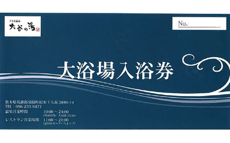 温泉入浴券 大谷の湯 日帰り温泉 入浴券 12枚【社会福祉法人青生会】[BHCM002]
