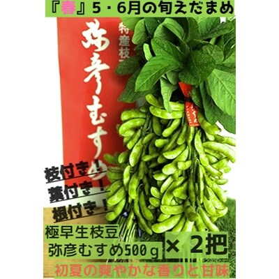 2022年6月発送開始『定期便』春夏秋。旬の弥彦枝豆堪能セット(枝付き1回、もぎ枝豆×2回)全3回【配送不可地域：離島】