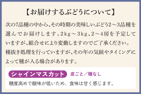 【2025年10月以降順次発送予】農家厳選！採れたてぶどうの詰合せ（品種おまかせ）