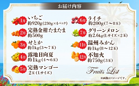 【数量・期間限定】旬のフルーツ9ヶ月定期便vol.1 果物 フルーツ くだもの 定期便 フルーツ定期便 果物定期便 贈り物 おすそ分け 宮崎