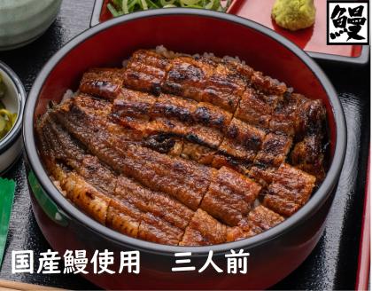 おうちでひつまぶし３人前と白焼き３人前／炭火焼うなぎ