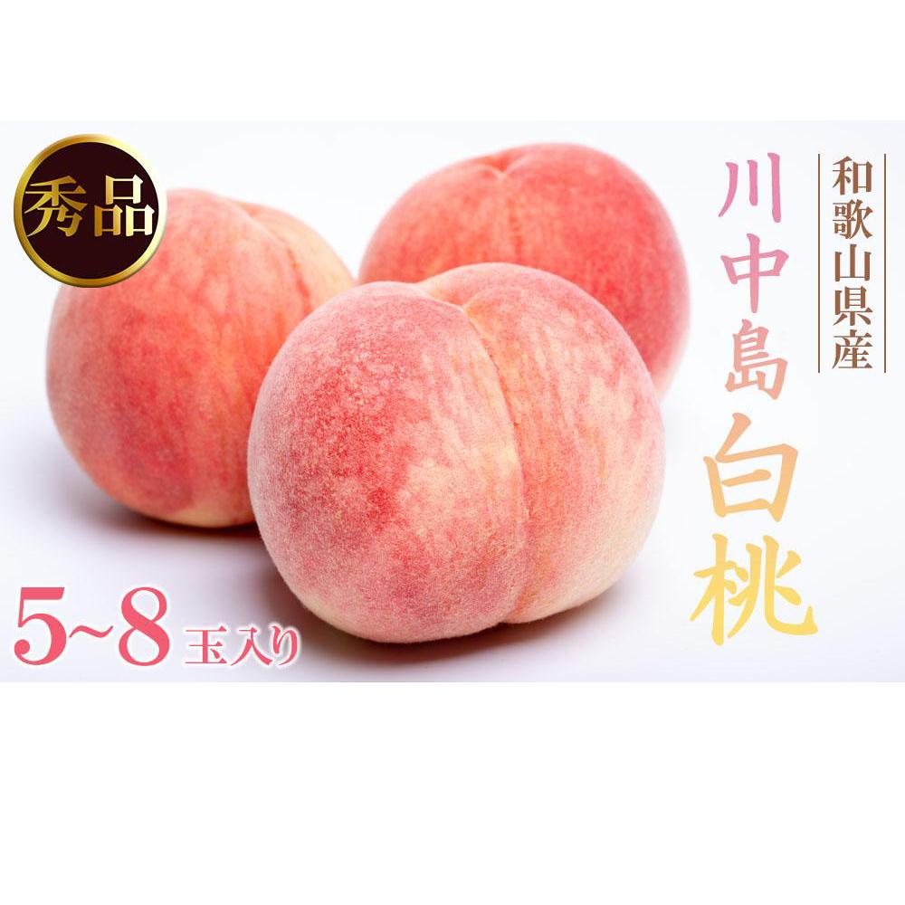 【ふるさと納税】和歌山県産 川中島白桃 5～8玉入り 秀品 先行予約［2025年7月下旬以降発送］［MG7］ | もも フルーツ 果物 くだもの 食品 人気 おすすめ 送料無料