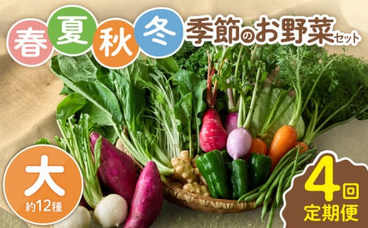 【全４回定期便】春夏秋冬 季節のお野菜セット（サイズ大） 12種 宮崎県産 野菜定期便 詰め合わせ 新鮮 野菜 産地直送 野菜セット 農家直送 有機栽培 送料無料 【オーガニックのまち 宮崎県綾町】