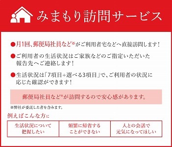 みまもり訪問サービス（１２か月）