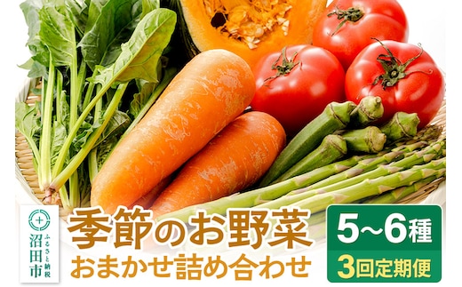 
										
										季節のお野菜 おまかせセット 季節ごとの3回お届け 定期便（1回あたり5～6種類）詰め合わせ
									