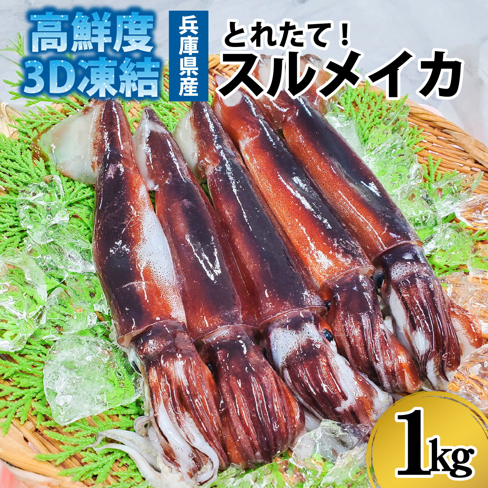 【ふるさと納税】スルメイカ 冷凍 約1kg 5杯前後 / 産地直送 いか スルメイカ 1kg 5杯 魚介 海鮮 海の幸 新鮮 急速冷凍 冷凍 鮮度抜群 刺身 塩辛 イカフライ 煮物 姿焼き げそ イカゲソ いかめし イカ飯 イカ焼き イカの塩辛 いか天 兵庫県