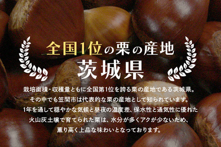 アカツファーム の ぽろたん（ 生栗 ） 特大 3Lサイズ 1kg 栗 笠間 くり クリ 大きい 大粒 茨城 国産 国産栗 和栗 甘栗 栗ご飯 栗きんとん 栗おこわ 甘露煮 マロン 秋 旬 おやつ ス