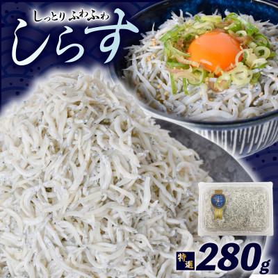 ふるさと納税 安芸市 釜揚げしらす 約280g 【天使の宝石】