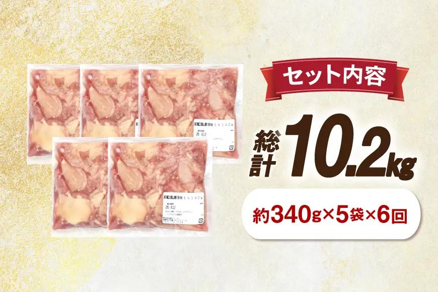 鶏肉 6回 定期便 もも 切身 340g 5袋 1.7kg 計10.2kg