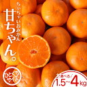 【ふるさと納税】【先行予約】ちぃちゃいおみかん「甘ちゃん。」【小玉みかん】1.5kg~4kg【選べる容量】 ※2024年12月上旬〜下旬頃に順次発送予定【期間限定・先行予約・2024/11/19まで】 / みかん ミカン 柑橘 温州みかん 早生温州ミカン 和歌山県 小玉みかん