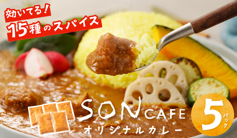 SONカフェ特製カレー 200g×5 冷凍 簡単調理 15種スパイス 泉州野菜使用 いずみピクルス NSW 010B1184