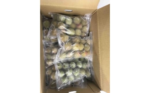 
和歌山産 冷凍 南高梅 3kg(500g×6パック)
