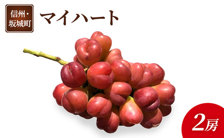 ぶどう マイハート 長野県産 フルーツ ぶどう【2房】