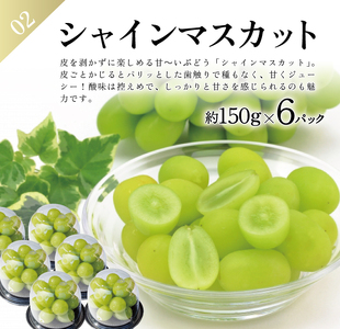 SE0209　【3回定期便】農家直送 フレッシュフルーツ定期便2024 (庄内メロン、青ぶどう、赤ぶどう)