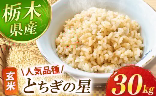 【先行予約】 とちぎの星 玄米 30kg  | お米 新米 米 白米 玄米 おにぎり 日本 主食 米 おいしい おこめ 10kg 30kg 栃木県 真岡市 送料無料