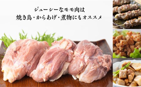 定期便 お楽しみ 鶏肉 地鶏 定期便3回 飛騨地鶏 モモ肉 3回定期便 1kg×3回 国産 国産地鶏[Q1283x]