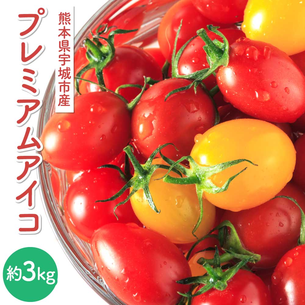 【ふるさと納税】 プレミアムアイコ 約3kg 山本農園 糖度8〜10度 高糖度 【2026年1月下旬から順次発送】アイコトマト ミニトマト プチトマト トマト とまと 野菜 宇城市産 熊本県産 九州産 国産 送料無料 株式会社アークブレス