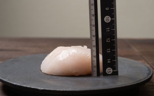 【三陸の至宝】大粒 ホタテ 玉冷 肉厚 Lサイズ500g(10～13粒入) 3パック 三陸 岩手県 三陸山田 山田町 ほたて 帆立 魚介類 海鮮 冷凍 川石水産