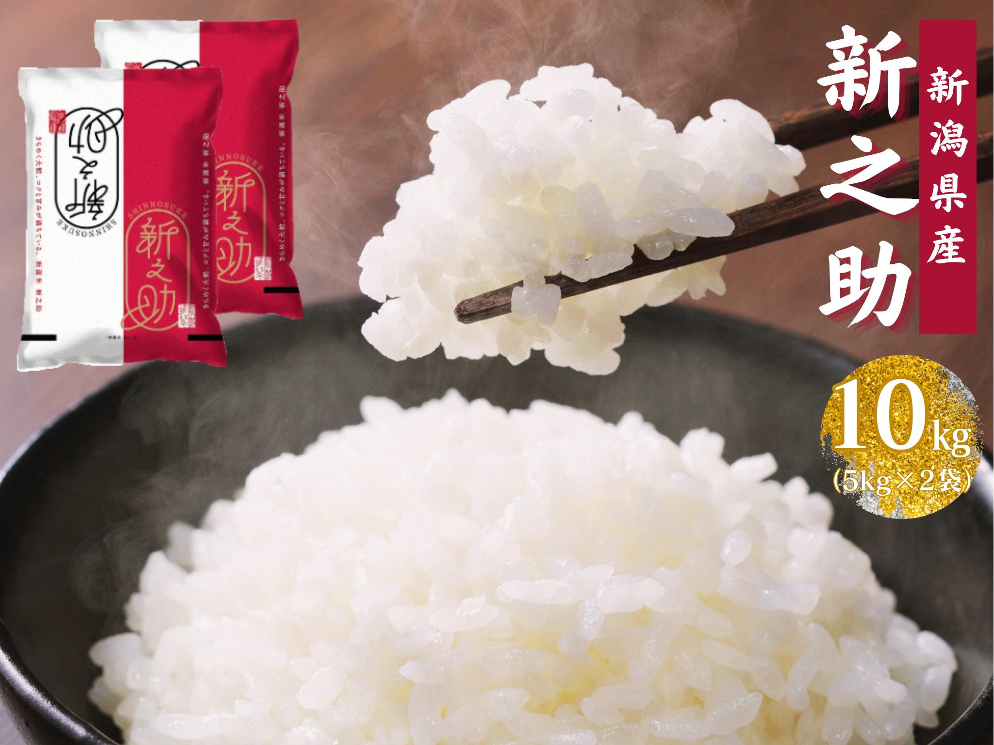 
                  【令和7年産】新潟産 新之助 10kg (5kg×2袋) 米 こめ コメ 精米 白米 【大人気のため予告なしに受付休止・再開します】1N02023
                