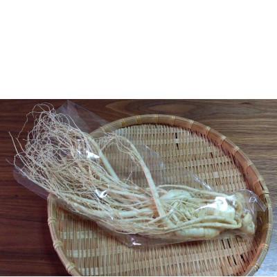 ふるさと納税 長野県 生高麗人参 【 栽培期間中出来るだけ農薬を減らして栽培 】約200g/1本 6年生 国産 朝鮮人参