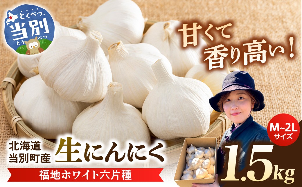 
                  【令和8年先行受付】生にんにく（福地ホワイト六片種）1.5kg（15個～25個程度）《2026年6月上旬-7月下旬頃出荷予定》 にんにく ニンニク 生にんにく 国産にんにく 北海道にんにく 
                