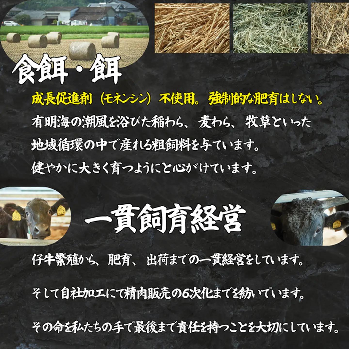 【定期便3回】佐賀牛 至福のきりおとし 1000g（250g×4P）：B640-006