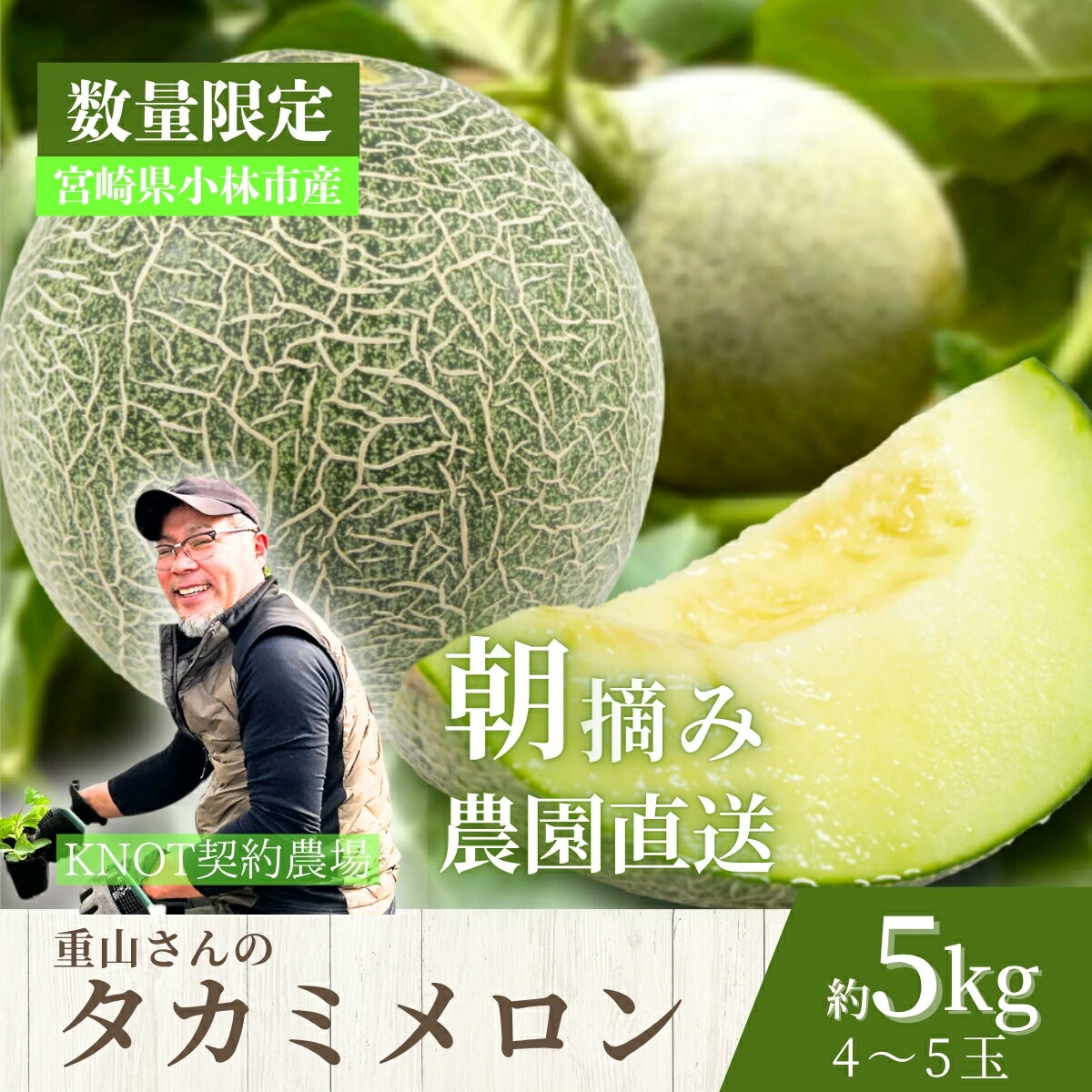 【ふるさと納税】【2026年発送 先行予約】生産農家応援・もぎたて直送 タカミメロン 5kg程度（メロン フルーツ 果物 くだもの 先行受付 2026 宮崎）