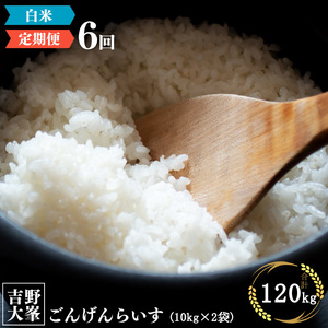 【定期便】吉野大峯ごんげんらいす　10kg×2袋　6ヵ月連続 計120kg 白米《水本米穀店》