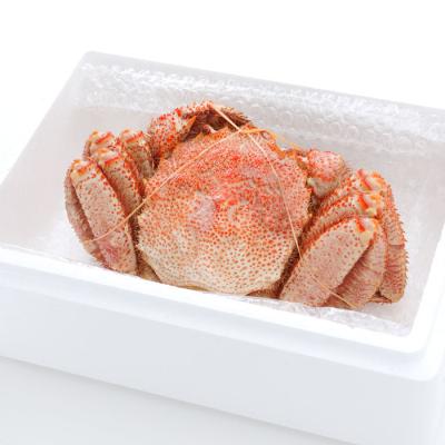 ふるさと納税 根室市 毛がに800g〜1kg C-25025 |  | 01