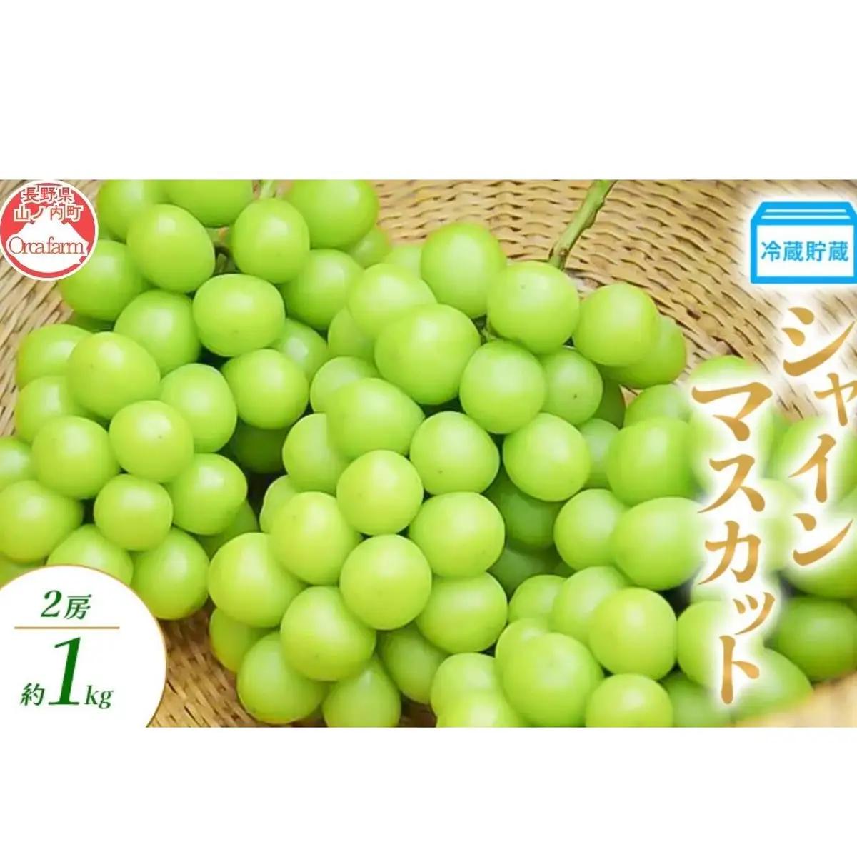 ぶどう 冷蔵貯蔵 シャインマスカット 2房 1kg ぶどう