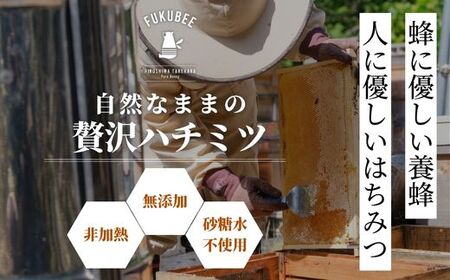 国産天然はちみつ FUKUBEE ハニーボトル 200ml 2本セット 蜂の幸せを考える養蜂家【蜂蜜 はちみつ ハチミツ 百花蜜 非加熱 ストレスフリー 養蜂 レンゲ アカシア 桜 フジ 花 ミツバチ