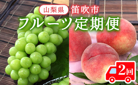 【2026年発送★先行予約】厳選！大人気セット！笛吹市全２回定期便～もも2kg シャインマスカット1kg～ 156-100-26y
